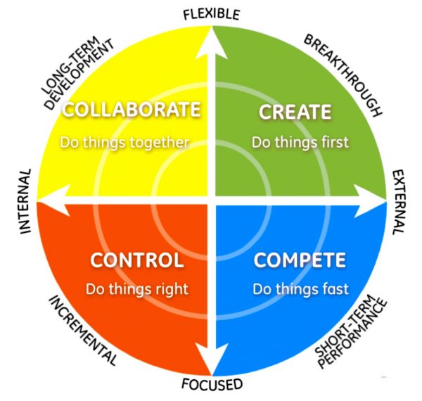 Culture Model: Schneider to the Competing Values Framework - Trail Ridge